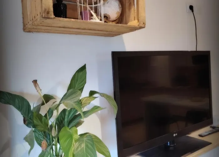 Le Moulin Neuf, Atypiques Dans Le Pays D'ancenis *